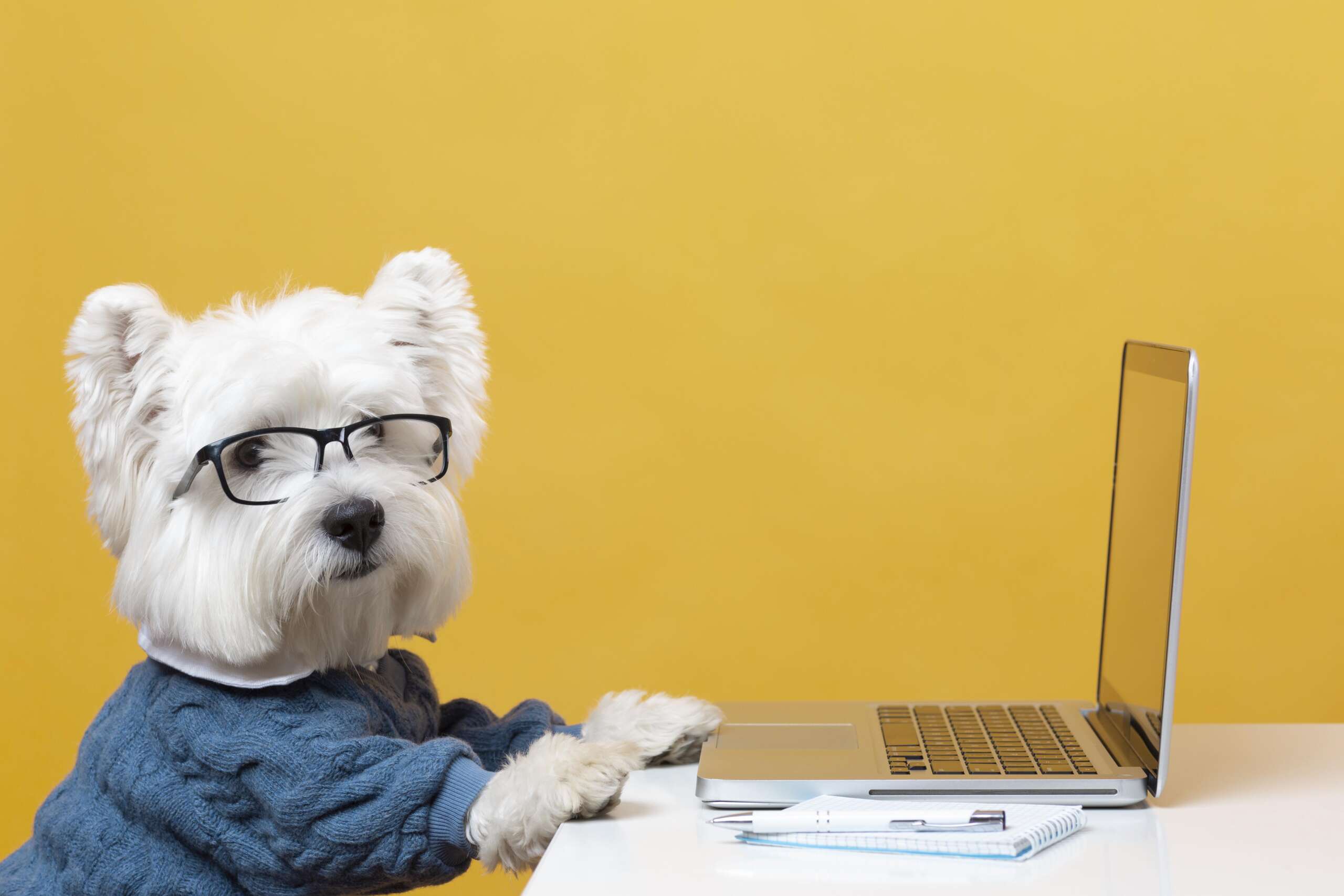 cute-little-dog-impersonating-business-person